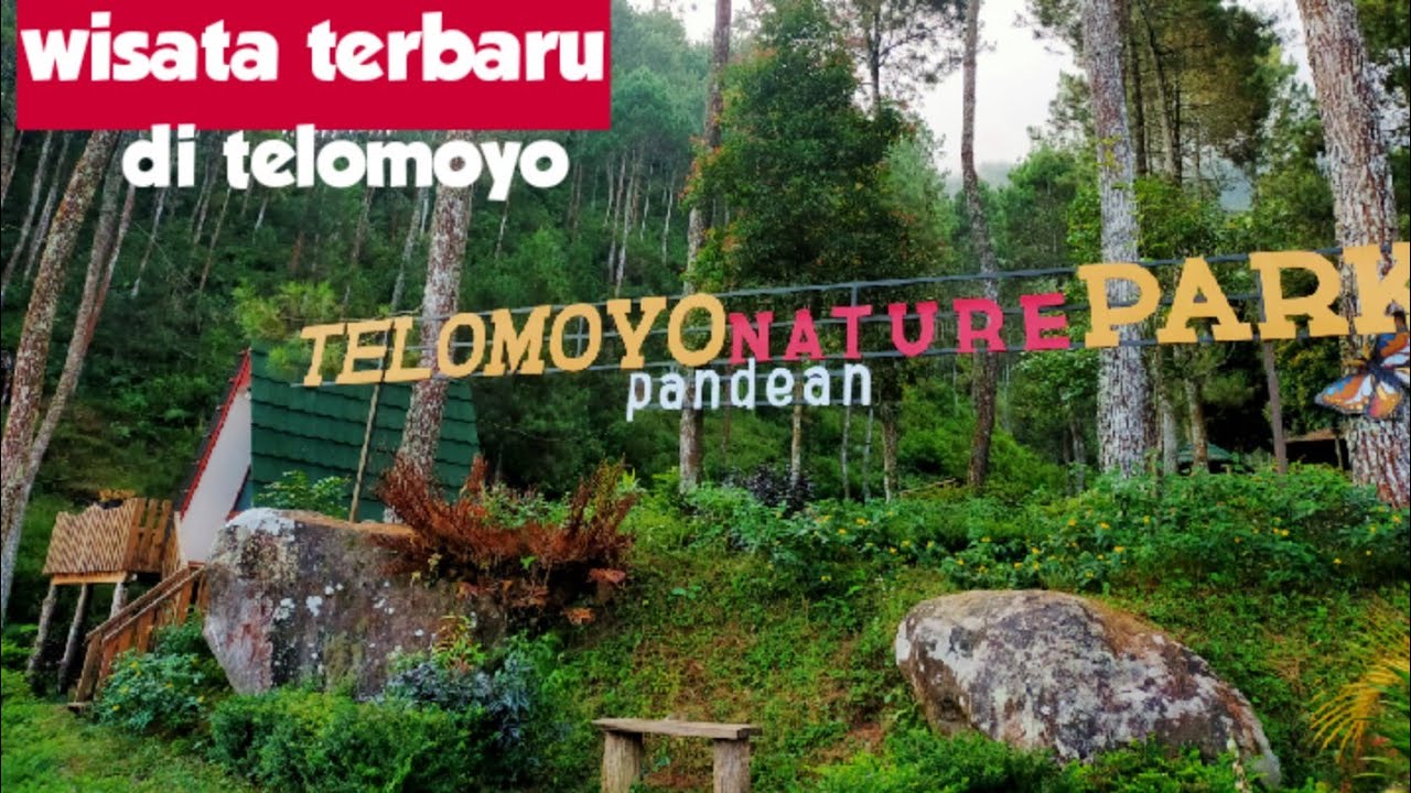 Telomoyo Nature Park: Pesona Alam Jawa Tengah yang Menakjubkan